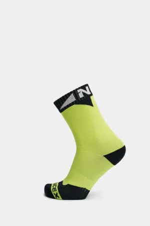 HR01_flurescent (2)