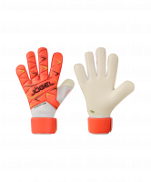 c970f857213ccedbb23a7d1fd66d3954