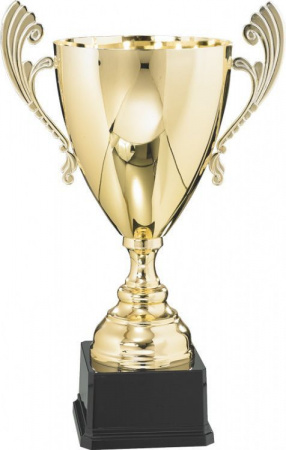 Кубок 3005 (Кубок 3005C (39см) D-160)